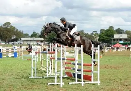 RASQ Annual Show Report